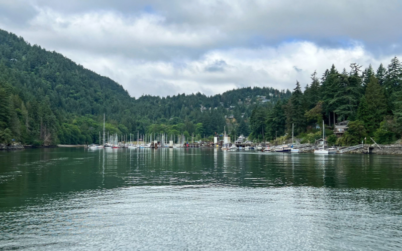 Explore-Bowen-Island-on-a-3-Hour-Zodiac-Tour-800x500-1700047642.jpg
