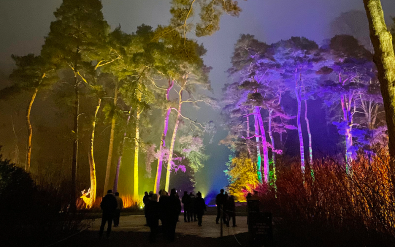 Unveil-the-Enigmatic-Legends-of-Whistler-with-Vallea-Lumina-800x500-1699862433.jpg