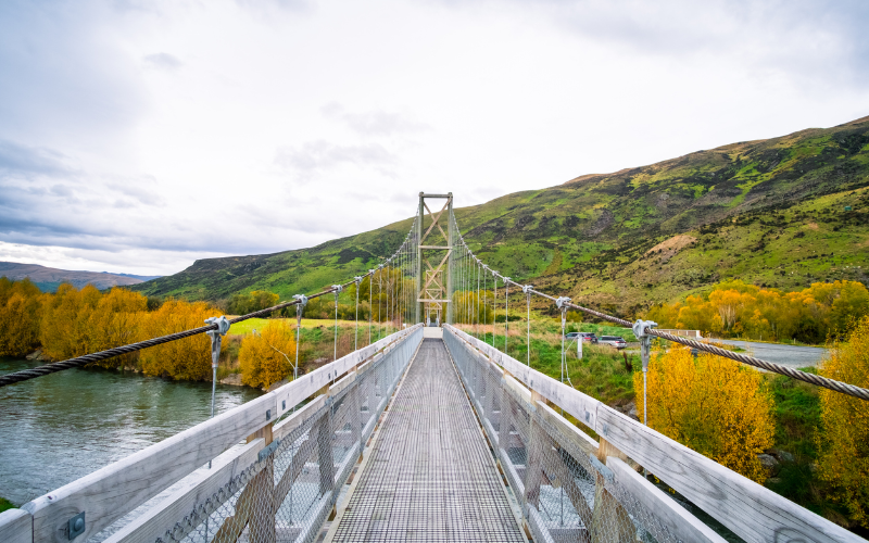 bridging-the-gap-an-adventure-guide-to-lynn-canyon-park-with-hiking-tour--800x500-1698491316.jpg