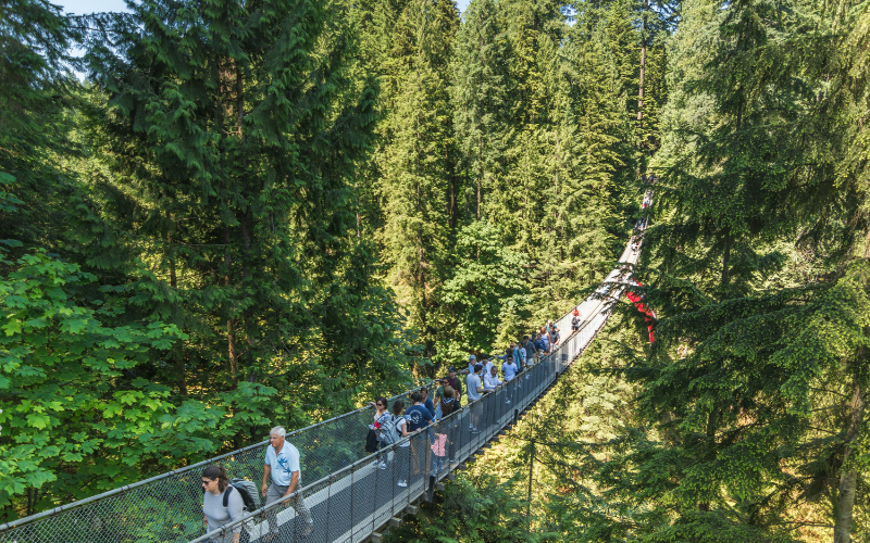 city-sightseeing-tour-with-capilano-suspension-bridge-vancouver-lookout-800x500-1695972453.jpg