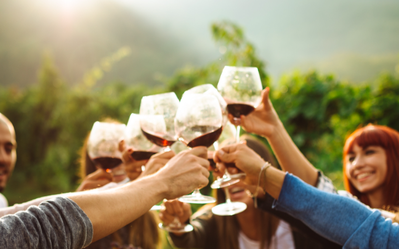 discover-the-enigmatic-charm-of-5-wineries-on-kelowna-mystery-wine-tour-800x500-1698764404.jpg