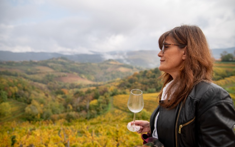 discover-the-grapevine-toronto-to-niagara-wine-tour-experiences-800x500-1697551344.jpg