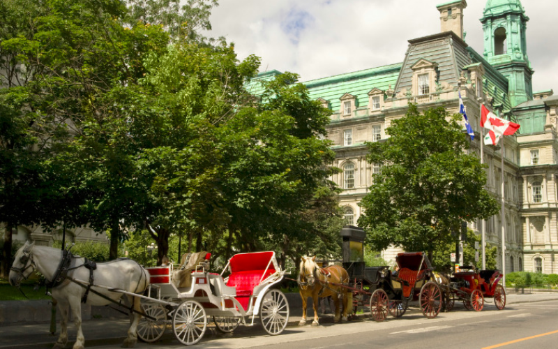 discover-the-past-victoria-s-horse-drawn-carriage-tour-800x500-1699007189.jpg