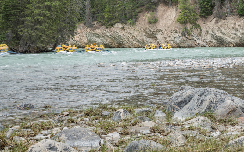 Exciting Kicking Horse River Rafting Adventure in Golden | NiagraFallsTour