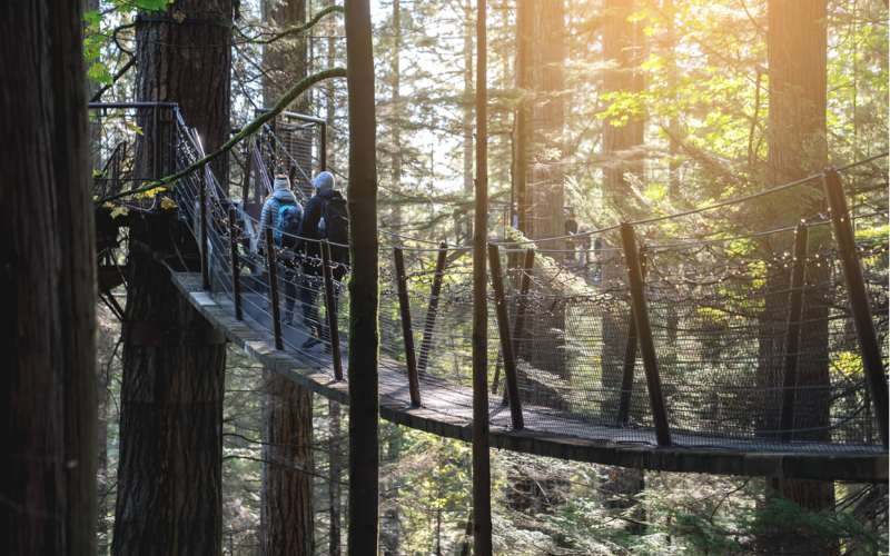 experience-chills-and-thrills-with-our-vancouver-small-group-tour-on-the-capilano-suspension-bridge-800x500-1697113151.jpg