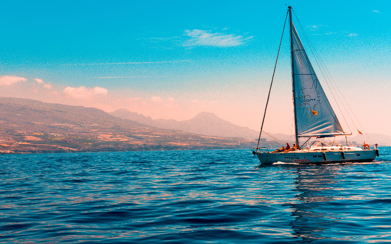 experience-the-breeze-of-vancouver-in-sailboat-tours-800x500-1696990834.jpg