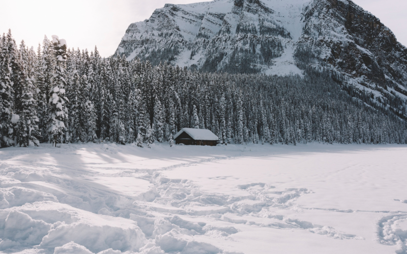 experience-the-magic-of-gatineau-park-through-a-snowshoe-adventure-dinner-800x500-1692942947.jpg