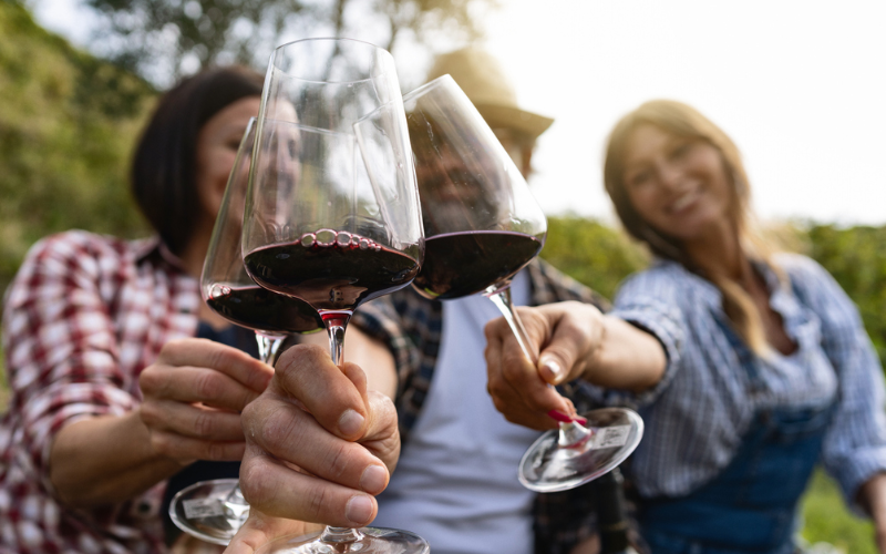 explore-cowichan-valley-on-a-half-day-wine-tour-from-victoria-800x500-1698384496.jpg