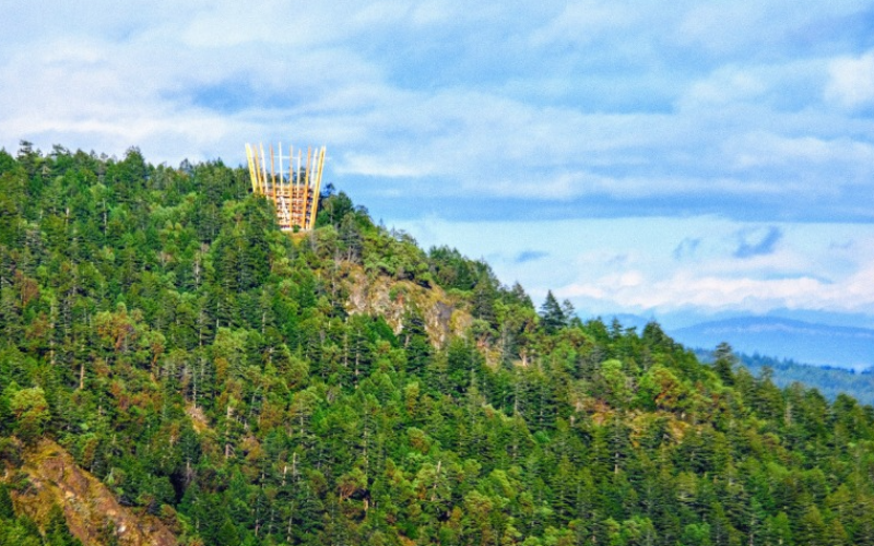 explore-the-best-of-vancouver-attraction-shuttle-with-entry-ticket-to-malahat-skywalk-800x500-1698410659.jpg