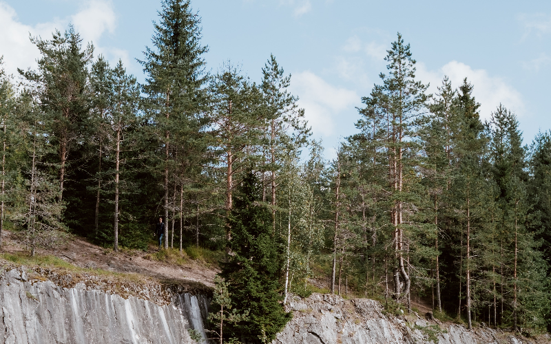 explore-vancouver-s-wild-side-with-granite-falls-zodiac-tours-800x500-1695994919.jpg