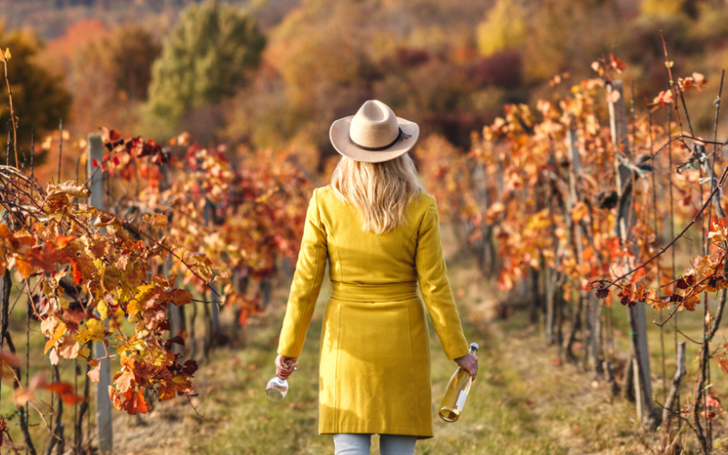 exploring-the-delicate-wines-of-fraser-valley-an-adventure-only-for-wine-enthusiasts-800x500-1697290615.jpg