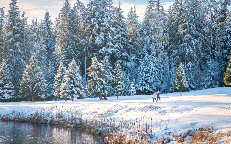 getting-the-basics-of-snowshoeing-in-vancouver-s-winter-paradise-800x500-1698304917.jpg