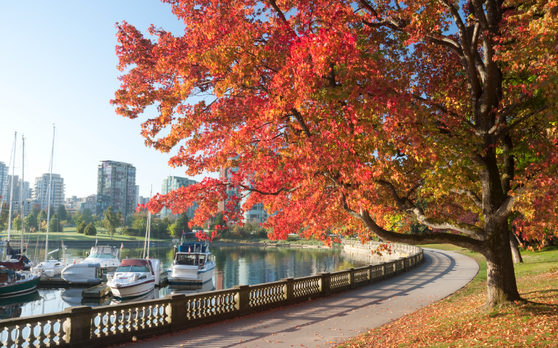 grandeur-of-stanley-park-an-adventure-with-a-smartphone-audio-tour-800x500-1700115395.jpg