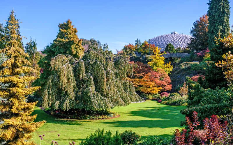 immerse-yourself-in-nature-at-bloedel-conservatory-s-tropical-gardens-800x500-1699888752.jpg