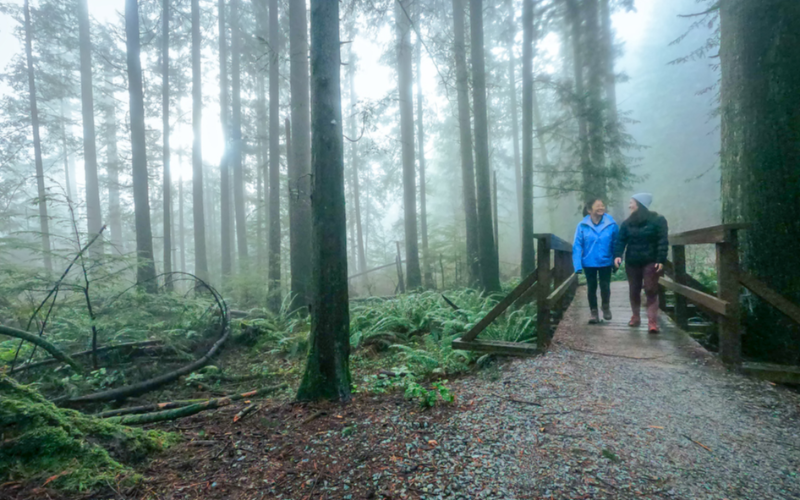 immerse-yourself-in-vancouver-s-charms-with-a-customized-private-tour-800x500-1699179053.jpg