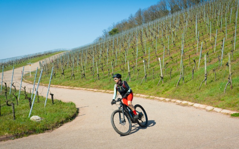 kelowna-bike-tours-what-to-expect-and-how-to-prepare-for-the-best-800x500-1697534868.jpg