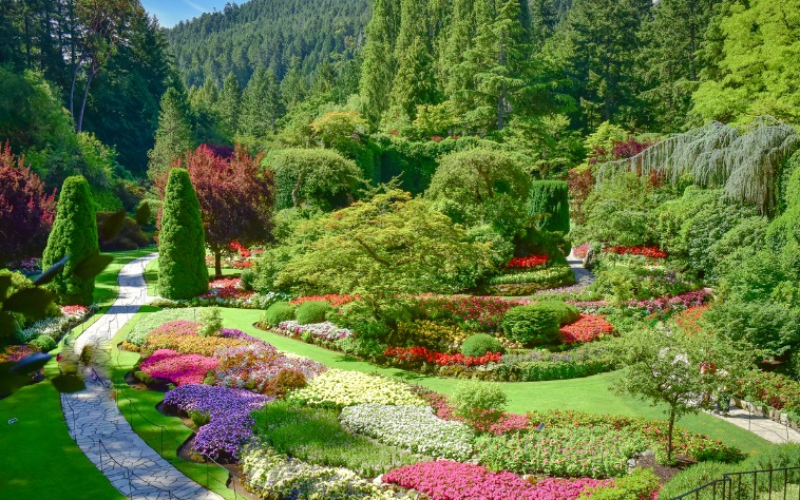 one-day-victoria-group-tour-package-visiting-highlight-destinations-800x500-1700806883.jpg