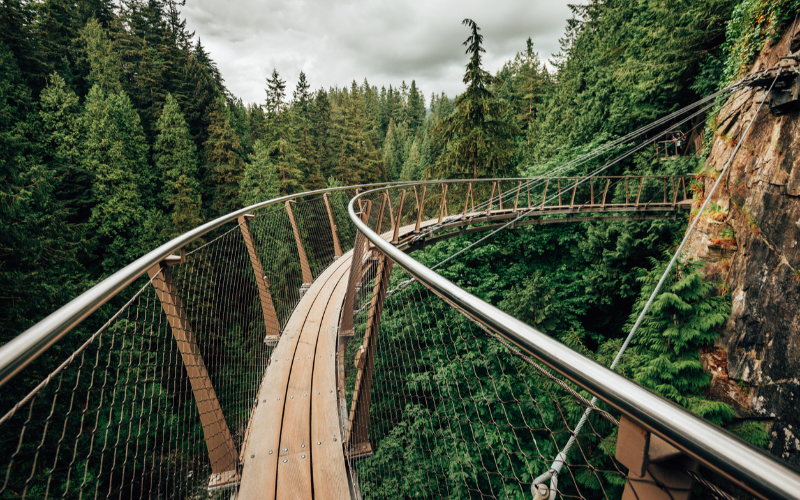 sightseeing-private-tour-vancouver-explore-the-unparalleled-attractions-of-downtown-vancouver-800x500-1698477168.jpg