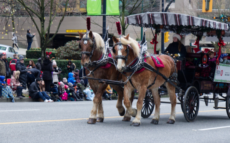 stanley-park-horse-drawn-tour-it-is-an-amazing-adventure-to-try-once-in-your-lifetime-800x500-1696054948.jpg