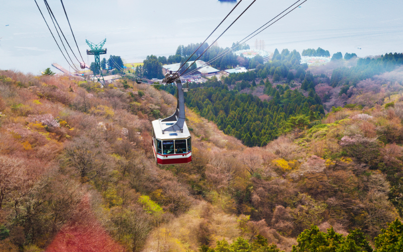 the-sea-to-sky-gondola-trip-on-the-highway-from-vancouver-s-canada-place-800x500-1698419263.jpg