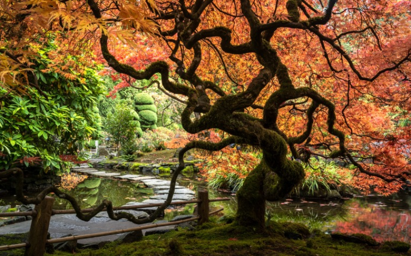 the-victoria-and-butchart-gardens-experience-from-vancouver-800x500-1695208008.jpg