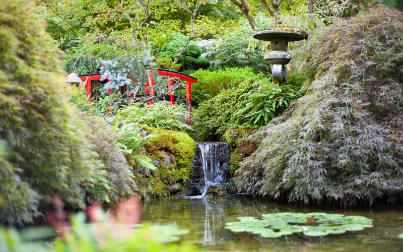 unveiling-the-spirit-behind-the-vine-tea-and-honey-with-the-butchart-gardens-tour-800x500-1697441347.jpg