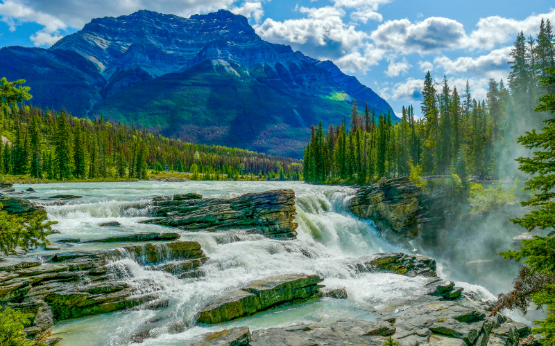 unveiling-the-wonders-of-nature-waterfalls-cathedral-grove-rainforest-and-coombs-adventure-with-hiking-800x500-1698656646.jpg