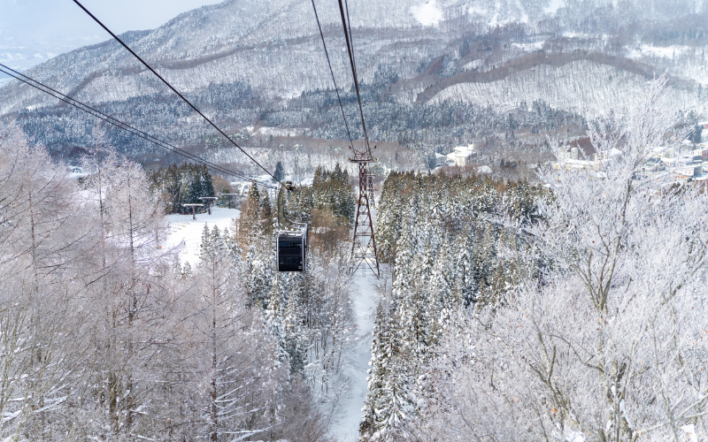 up-up-and-far-away-an-adventurous-small-group-tour-on-the-grouse-mountain-express-with-peak-chairlift-800x500-1697631439.jpg