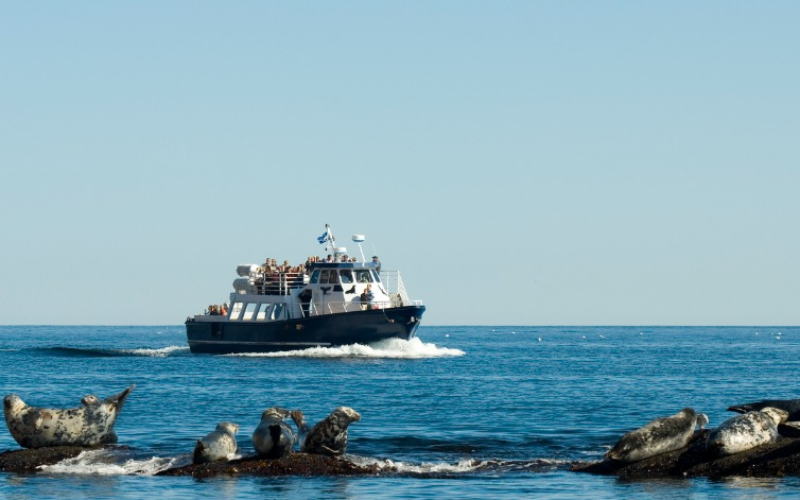 vancouver-city-water-adventure-a-popular-attraction-800x500-1697377908.jpg