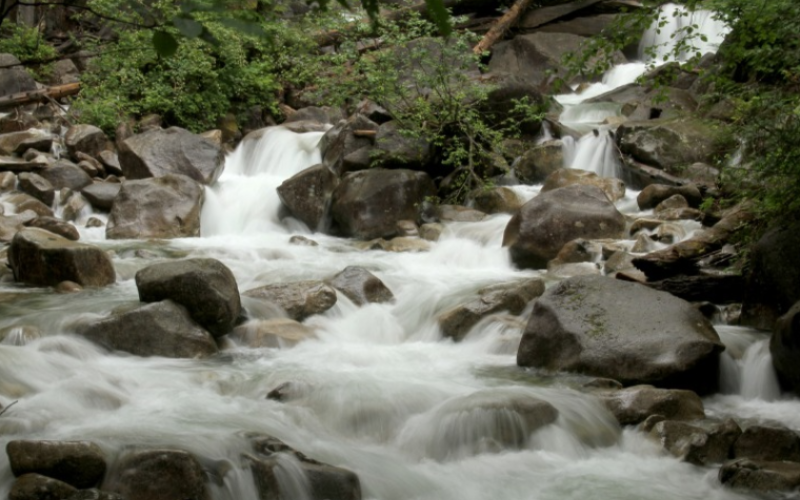 vancouver-guided-tour-explore-the-attractions-and-vistas-in-an-elegant-manner-800x500-1697878577.jpg