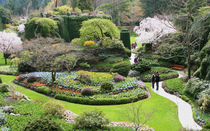 vancouver-to-victoria-and-butchart-gardens-day-tour-800x500-1695636902.jpg