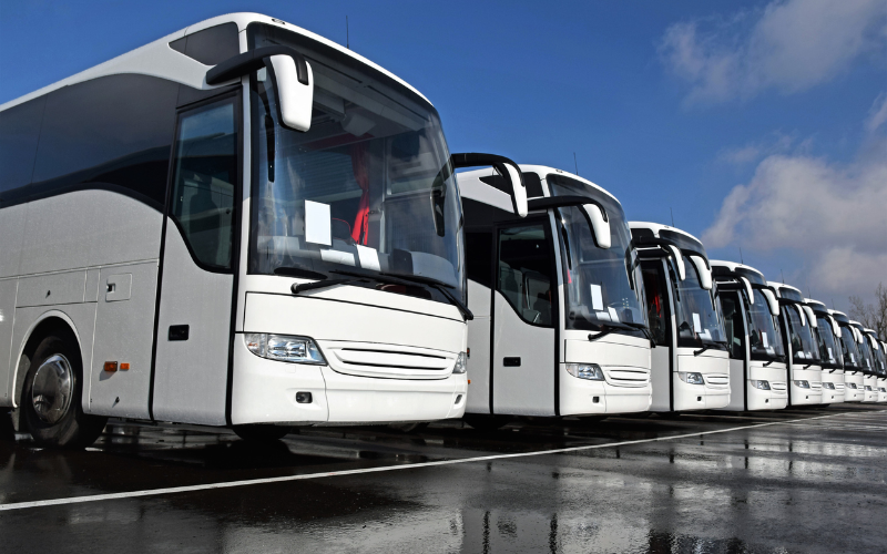 vancouver-to-victoria-coach-bus-transfer-most-convenient-transfer-option-when-compared-with-public-transportation-800x500-1698046866.jpg