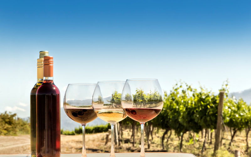 when-nature-s-beauty-meets-exceptional-wines-the-charm-of-sunset-sip-wine-tours-800x500-1698649006.jpg